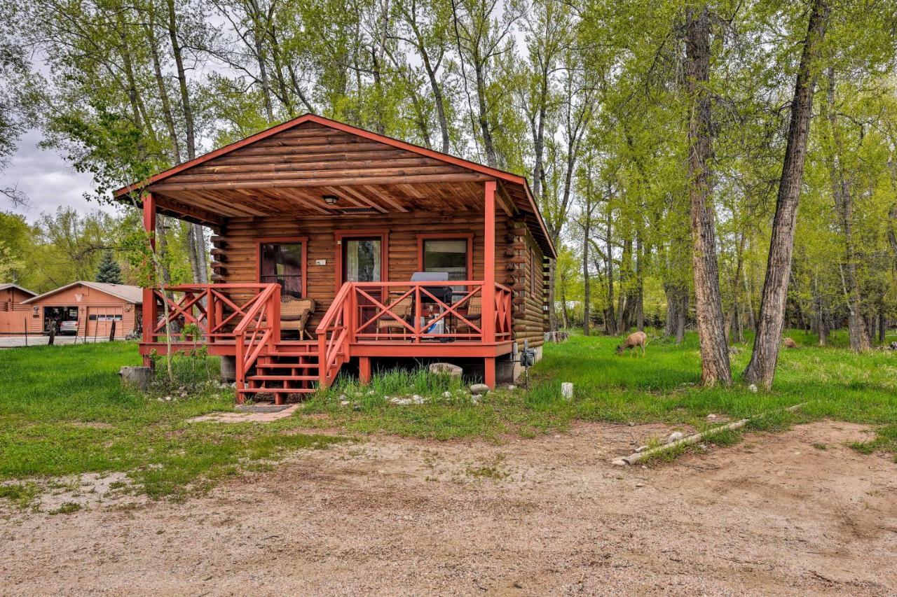 Cozy Colorado Cabin With Deck, Grill And River Access! Buena Vista Exterior photo